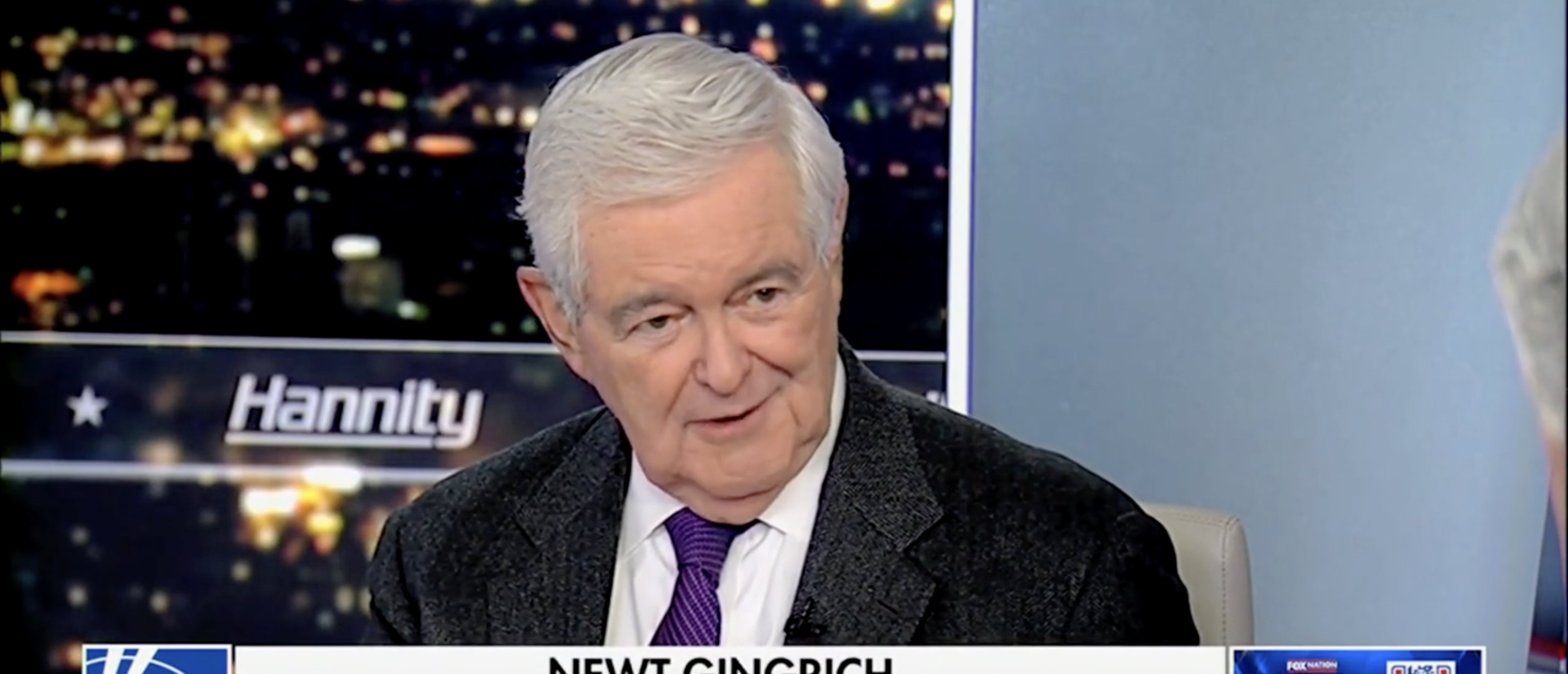 Newt Gingrich Shares ‘Number One Thing’ GOP Needs To Push Back Against Democrats